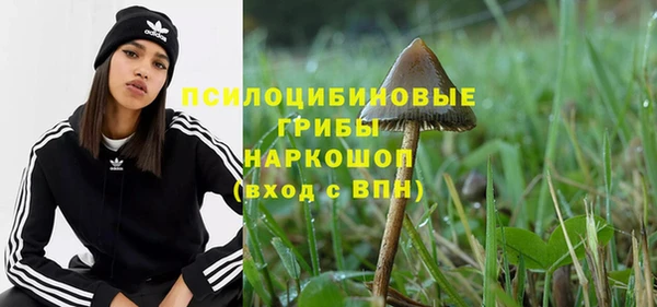 a pvp Краснослободск