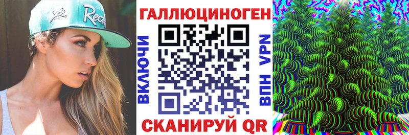 omg tor  Терек  Галлюциногенные грибы MAGIC MUSHROOMS  где можно купить  